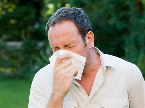 过敏性鼻炎的偏方 哪些中药可以治过敏性鼻炎