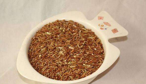 糙米怎么吃 糙米的正确食用方法