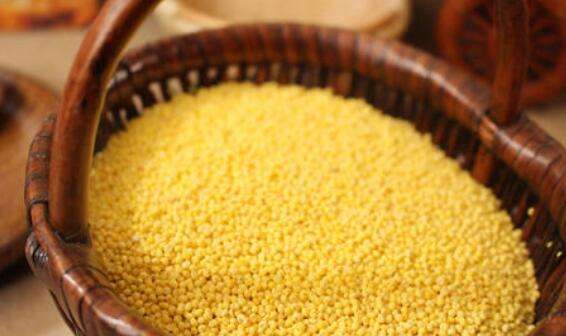 大黄米怎么吃 大黄米的食用方法