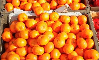 橘子的新鲜吃法有哪些