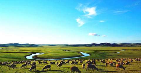 内蒙古旅游注意事项大全