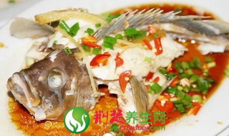 清蒸石斑鱼是哪里的菜系,石斑鱼的做法