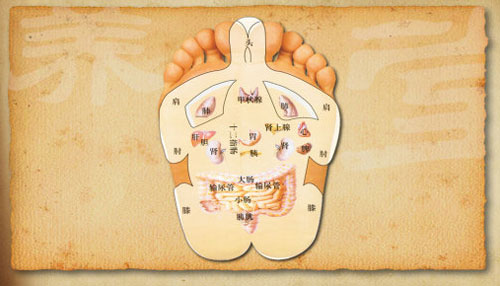 足部基本上是人体的一个缩影