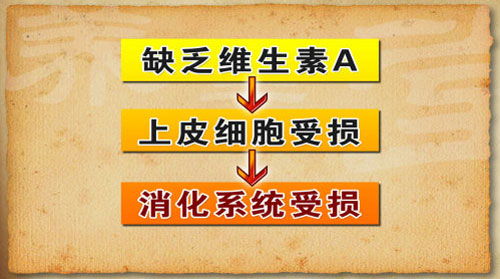 缺乏维生素A会对上皮细胞造成巨大影响