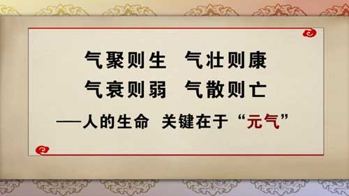 养生堂2013年11月6日视频,王玉英,长寿七养诀1,养护元气,山药酒