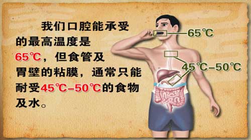 口腔能承受的最高温度是65℃