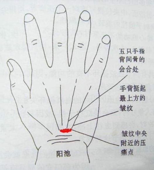 冬季手脚冰凉怎么办  按摩穴位助暖身