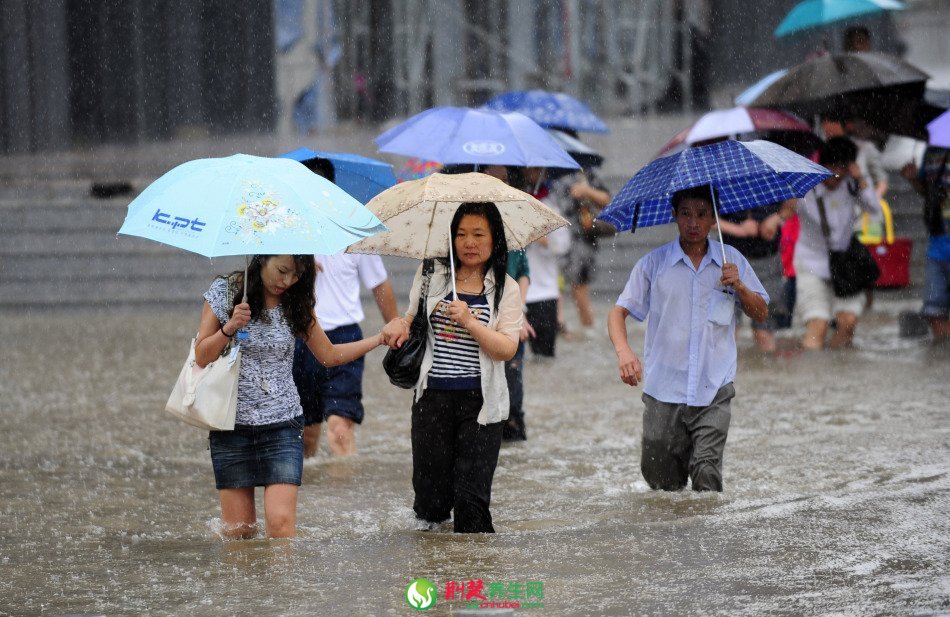 武汉暴雨积水多交通瘫痪水淹车(3)