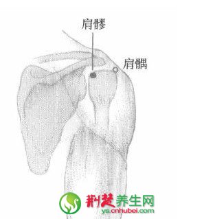 治疗肩周炎的偏方 点穴显神威(2)