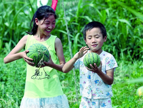 挑选西瓜的方法你知道吗 挑选西瓜3大方法