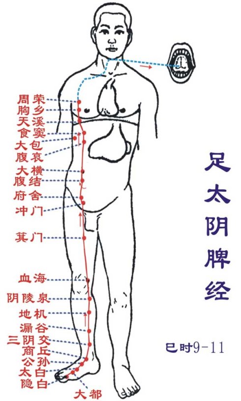 经络拍打养生法 九方法助你养生