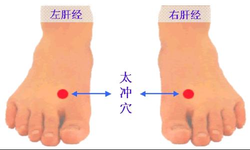 养生保健经常按穴位缓解8种病(4)