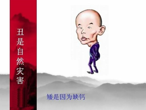 好想有个太太！单身狗伤不起啊