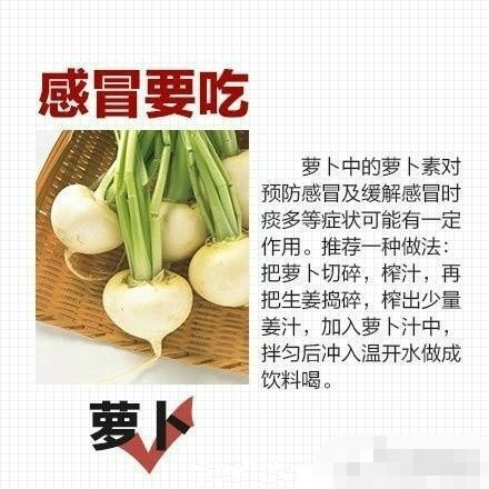 感冒了吃什么 分享感冒期间饮食禁忌