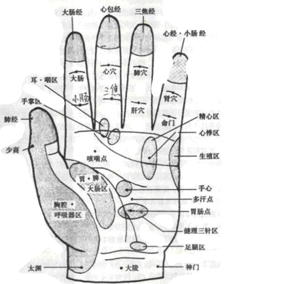 中医穴位养生 老人养生按什么穴位