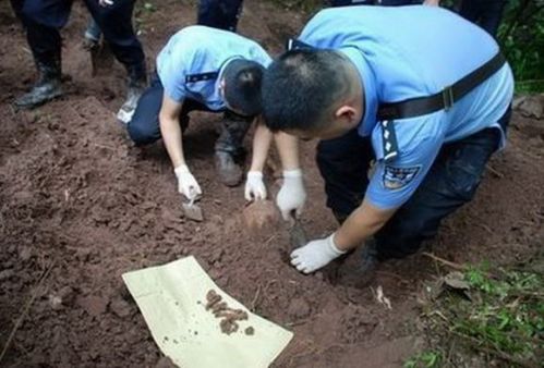 男子杀害女友碎尸煮熟喂藏獒(8)