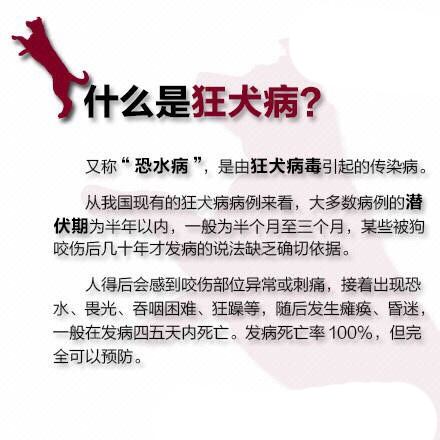 狂犬病是什么症状 被狗咬伤后该怎么急救