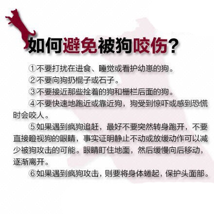 狂犬病是什么症状 被狗咬伤后该怎么急救