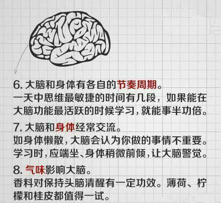 最强大脑是怎么训练的 25招练就最强大脑