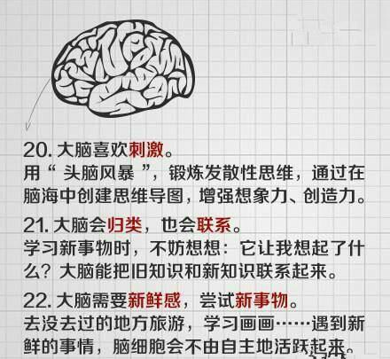 最强大脑是怎么训练的 25招练就最强大脑