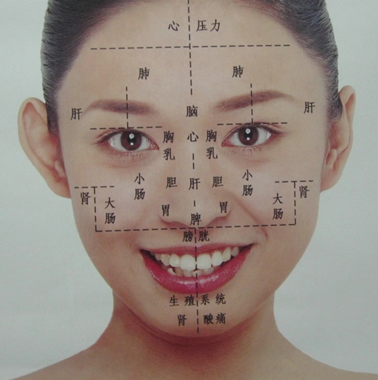 面部经络走向图 七大经络畅通身体才健康