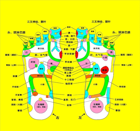 胃火大怎么办 治胃火的两个穴位