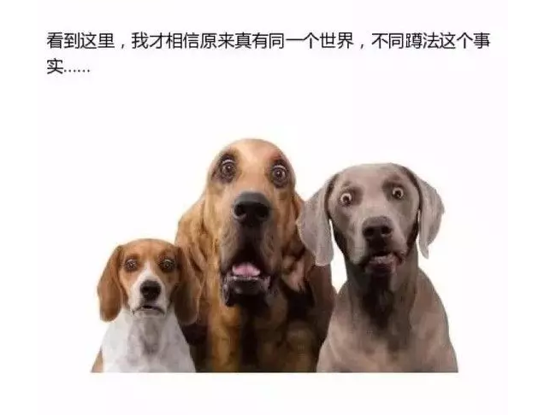 亚洲蹲的说法 小编告诉你什么叫亚洲蹲