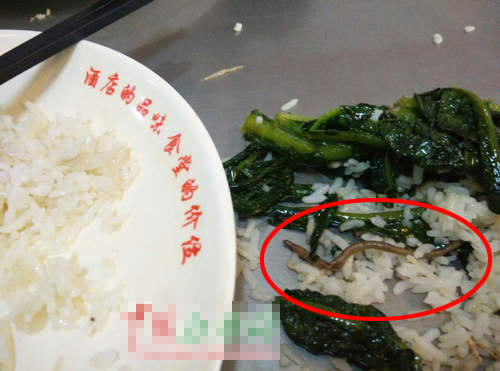 南昌大学食堂饭菜现蚯蚓 回应称不便透露信息(2)