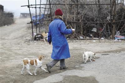 救助者谈养流浪猫狗：跟做贼一样 常遭挖苦嘲笑(2)