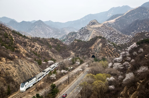 居庸关花海暂时封闭 发烧友曾为拍照逼停列车(3)