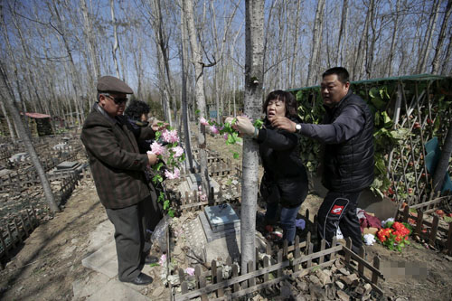 北京越来越多人选择清明节祭奠宠物(2)