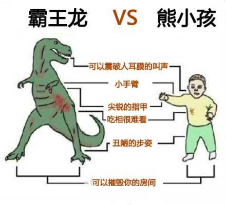 温州10岁男孩因篮球被轧破 逼停公交打司机