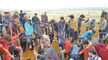 河南一河滩挖出“袁大头” 上百人持铁锹挖宝