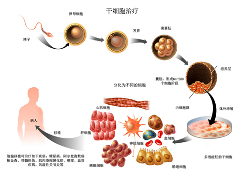 浙大教授招志愿者捐赠＂大姨妈＂ 称可治多种疾病(3)