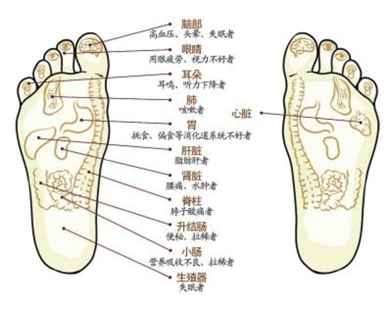 摔伤别乱动 十大痛点处理