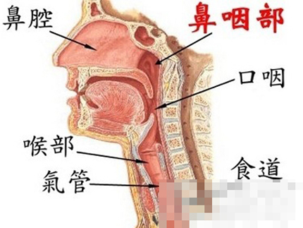 15岁男孩脖子上鼓起小包 在意时已是癌症晚期(2)