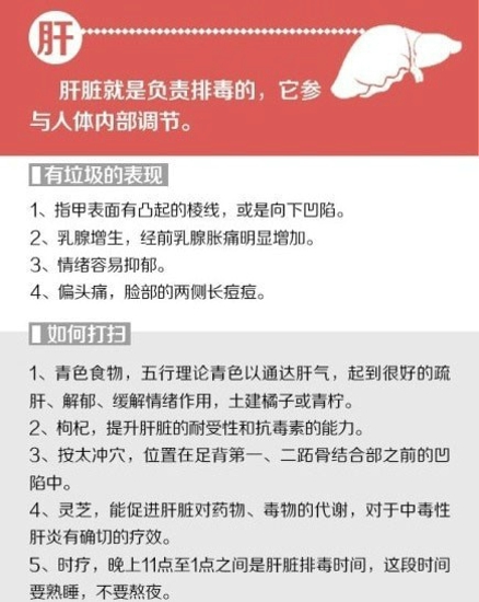 为什么白天老犯困 给你的身体来次大扫除