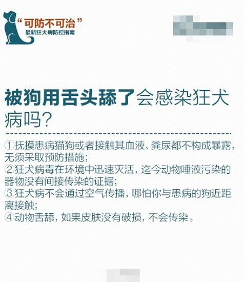 狂犬病为什么治不好 怎么防范狂犬病