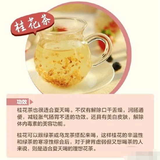 夏天适合喝什么花茶 推荐一些花茶给大家