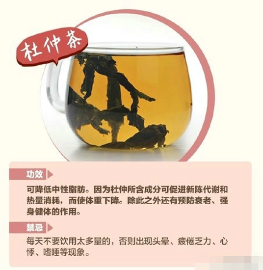 夏天适合喝什么花茶 推荐一些花茶给大家