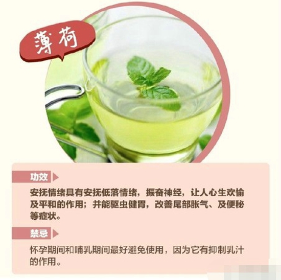 夏天适合喝什么花茶 推荐一些花茶给大家