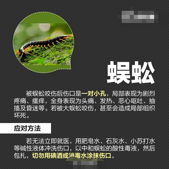 夏天怎么防虫 各种虫子的防治方法