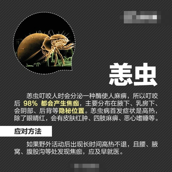 夏天怎么防虫 各种虫子的防治方法