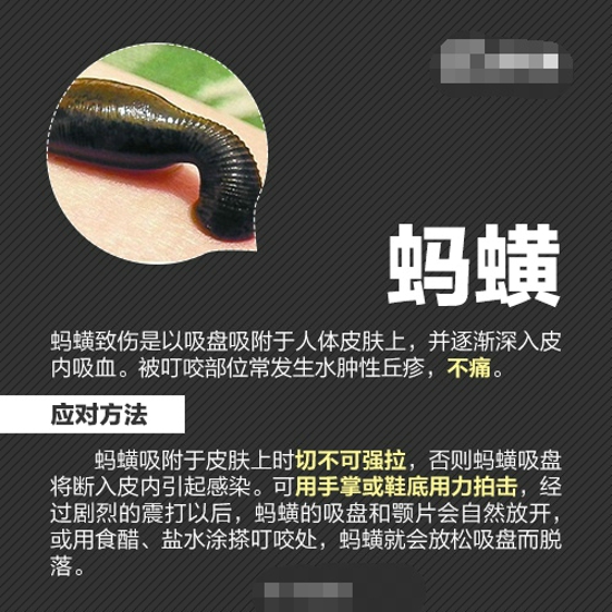 夏天怎么防虫 各种虫子的防治方法