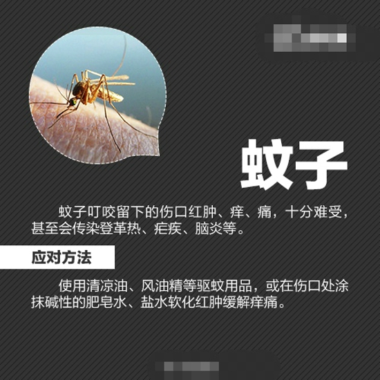 夏天怎么防虫 各种虫子的防治方法