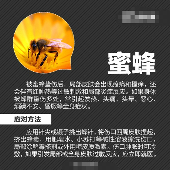 夏天怎么防虫 各种虫子的防治方法