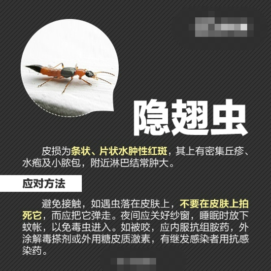 各种防虫的方法 最全防虫手册在这里