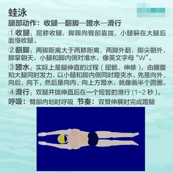 游泳的姿势有哪些 正确的自由泳姿势是什么