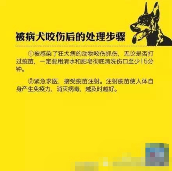 狂犬病防治知识 科学对待不让恐惧蔓延