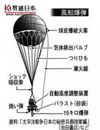 99养生堂